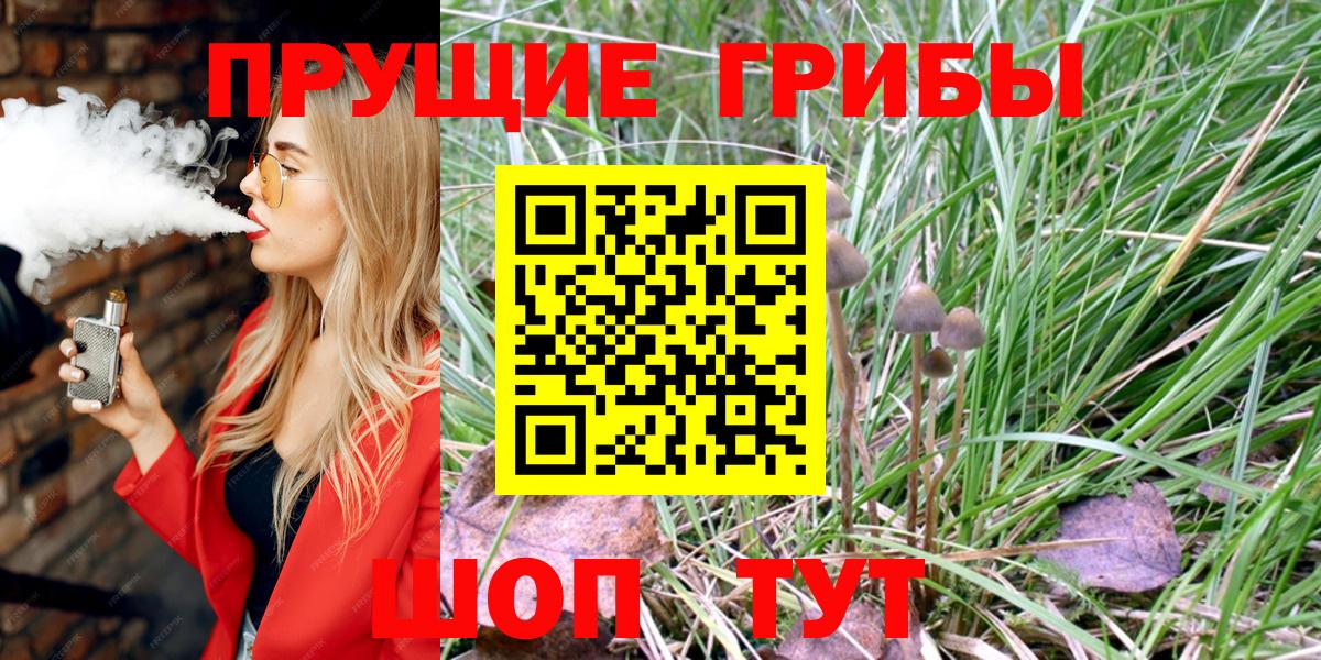 купить наркоту  Галлюциногенные грибы MAGIC MUSHROOMS  Нижний Новгород  Вход с VPN  Галлюциногенные грибы мицелий 