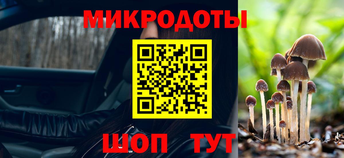 Псилоцибиновые грибы Psilocybine cubensis Нижний Новгород